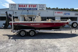 2018 Blue Wave 2200 PureBay