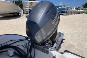 2008 Boston Whaler 130 SPORT image 9