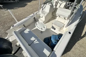 2016 Robalo R265 image 26