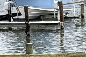 2024 Blackfin 272 Center Console