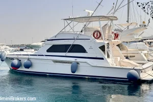 2002 Bertram 60