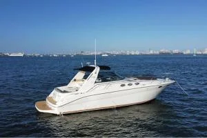 Sea Ray 370 Sundancer
