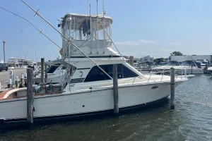 1989 Blackfin 38 Convertible