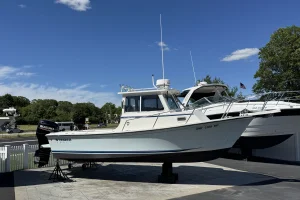 2019 Steiger Craft 23DV Chesapeake