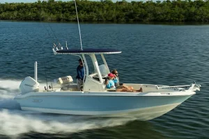 Boston Whaler 220 Dauntless
