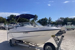 2006 Boston Whaler 180 Ventura image 8