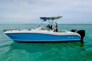 2006 World Cat 250 DC