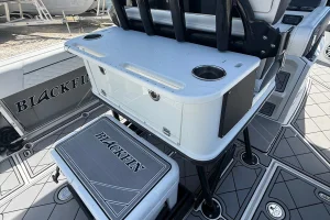 2021 Blackfin 252 image 72