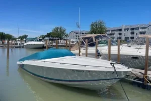 1993 Formula 303 SR-1