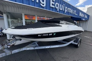 2018 Stingray 191DC (OB)