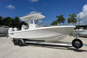 2026 Bluewater 25T image 9