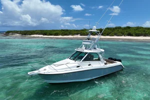 Boston Whaler 345 Conquest 2010