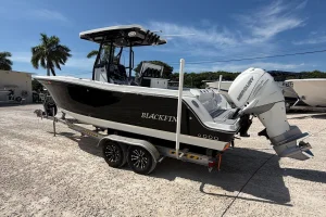 2021 Blackfin 252 image 33