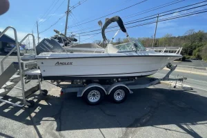2000 Angler 204 DC