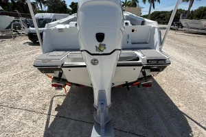 2021 Blackfin 252 image 4