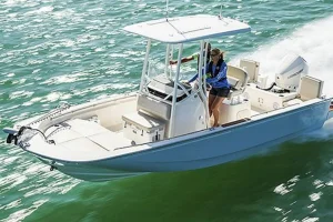 Boston Whaler 210 Montauk