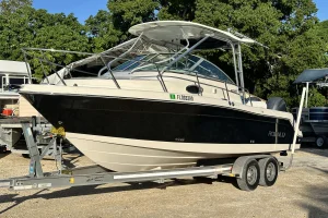 2016 Robalo R265 image 28