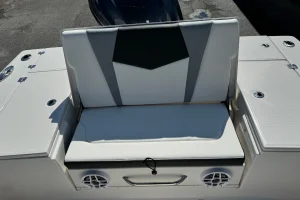 2025 Robalo 246 Cayman Shark Gray