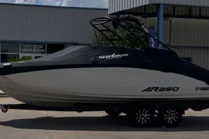 2025 Yamaha AR250