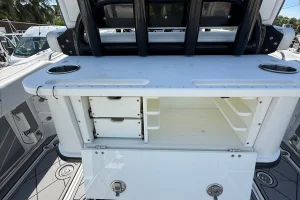 2021 Blackfin 252 image 74