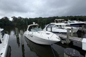 2007 Sea Ray Sundancer 310