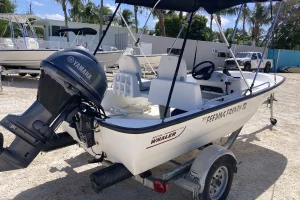2008 Boston Whaler 130 SPORT image 2