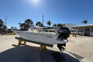 Boston Whaler 170 Montauk