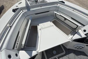 2021 Blackfin 252 image 28