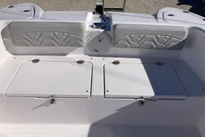 2025 Twin Vee 260 PRO GFX image 14
