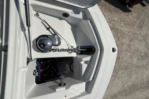 2021 Blackfin 252 image 57