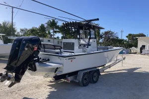 2026 Orion Boats 29CC image 5