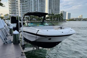 Sea Ray SDX 250