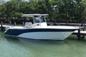 2009 SEA FOX 288CC