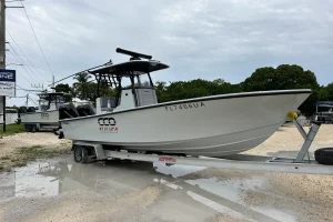 2025 Orion Boats 29CC image 6