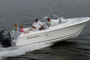 2011 22' Sea Hunt Escape 220 LE