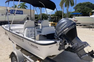 2008 Boston Whaler 130 SPORT image 3