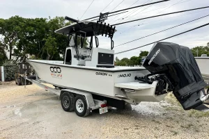 2025 Orion Boats 29CC image 3