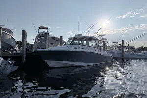 2017 Boston Whaler 315 Conquest