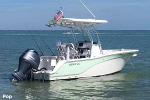2019 Sea Fox 228 Commander