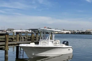 2024 Sea Hunt Ultra 219