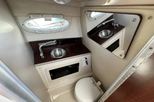 2016 Robalo R265 image 17
