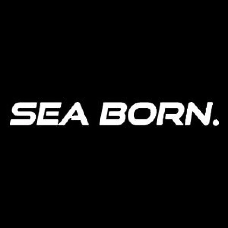 seabornboats logo