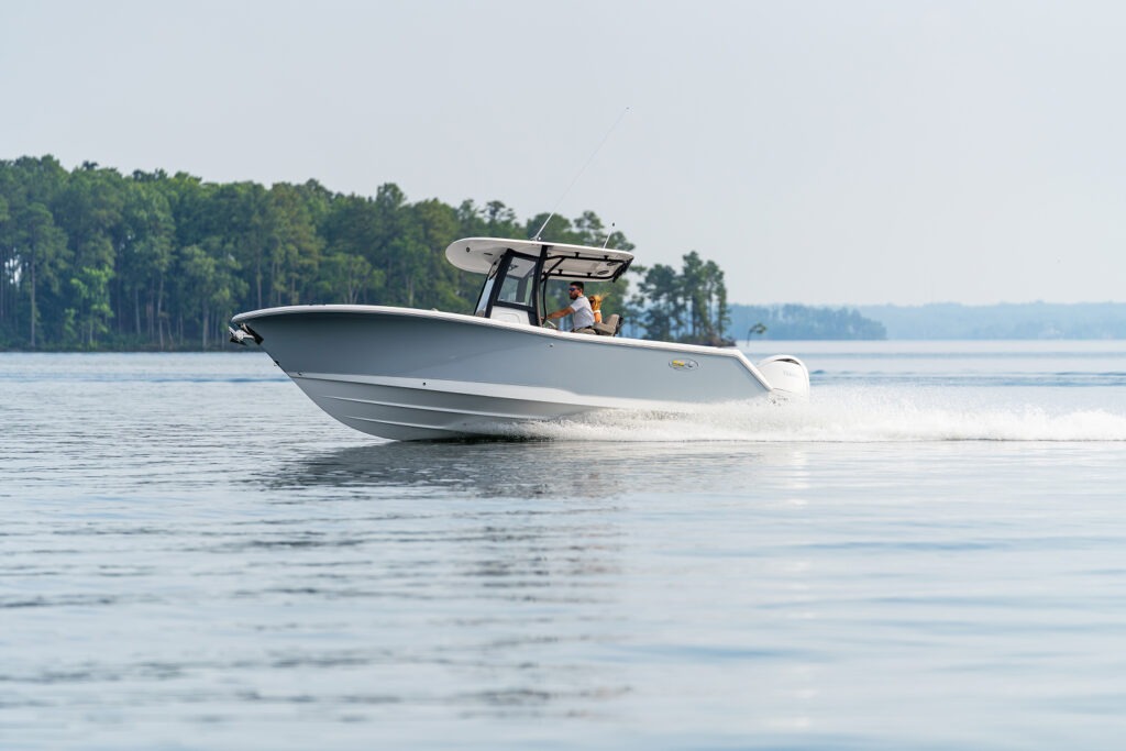 Gamefish 25