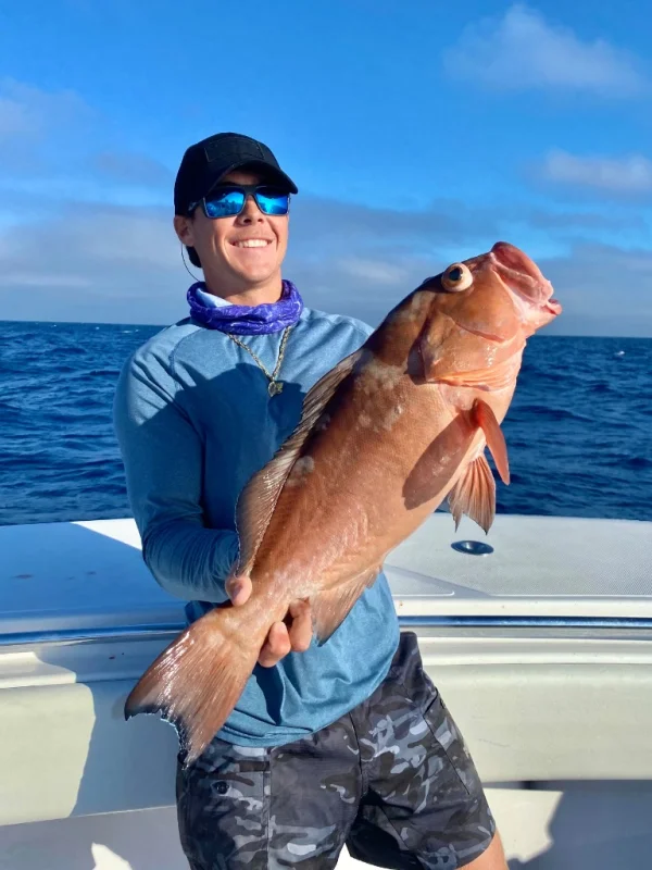delphlegacycharters